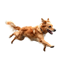 Energetic Motion: Side View of a Running Dog Isolated on Transparent Background