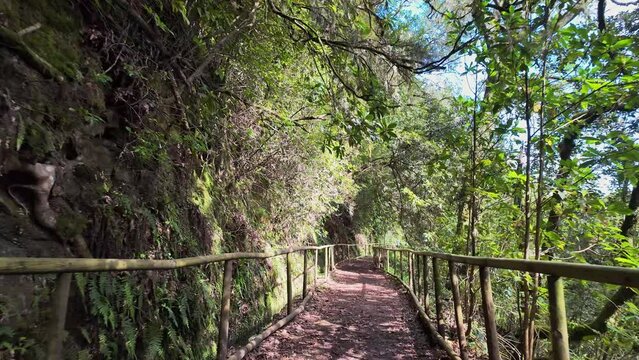 Pov walking on lush Madeira island levada Hiking trail, Slow motion