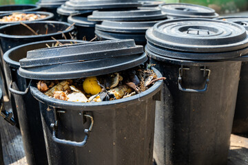 Food scraps full in trash bin produced from the food industry, cafes, restaurants and kitchen homes. Waste management and food waste composting concept.