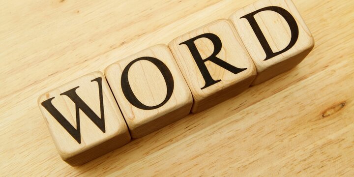 "WORDS" word made with building wooden blocks on light background