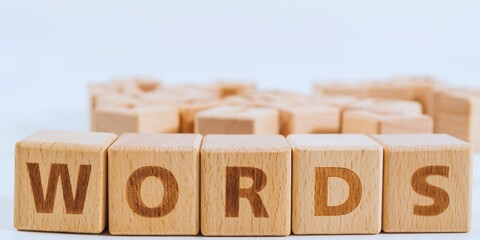 "WORDS" word made with building wooden blocks on light background
