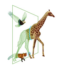 Überlassen Sie Das Netz Der Wilden Giraffen-fuchs-vogel-szene