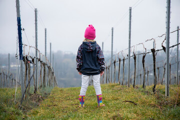 A child stands on a hill with vineyards and a beautiful landscape