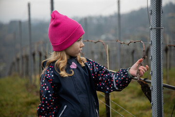 A child walks among the vineyards and beautiful landscape