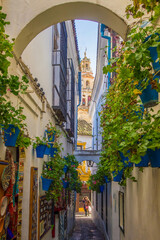 Narrow street with church tower in Cordoba in Andalusia, Spain