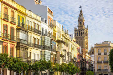 Avenida de la Constitucion street with Sevilla Cathedral tower in Seville, Spain