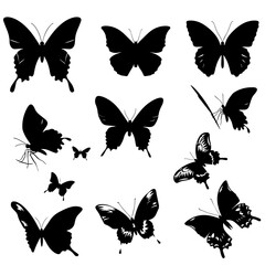 Collection of butterflies silhouettes