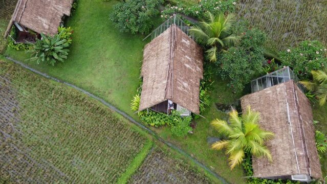 Row of thatched bungalows in hut style amid rural nature and rice fields, Aerial