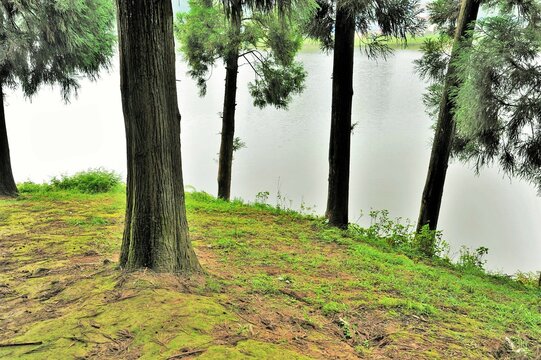 Sumendu Lake, Mirik, Darjeeling, West Bengal, India, Asia