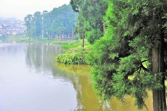 Sumendu Lake, Mirik, Darjeeling, West Bengal, India, Asia