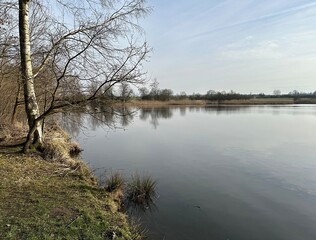 
the bank of a lake in early spring with bare trees  and a blue sky - Natalie Franzensbad
