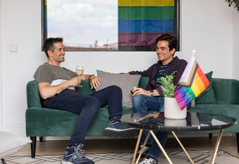 Two Men Enjoying a Toast with Wine at Home