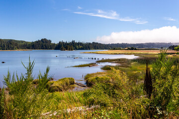Siuslaw River in Oregon in beautiful summer day