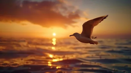 Foto op Aluminium A seagull gracefully gliding just above the water's surface, framed against the vibrant hues of a sunset beach. © Arisha