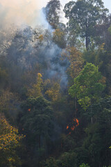 Forest in Thailand during the hot daytime was being burnt with a lot of smoke streaking up into the sky.