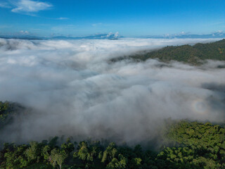 High-angle landscape in the sea of ​​mist exploring many forest areas the legend of the forest sky at the center of perfection. And the views here are the breathtaking pinnacle of winter in Thailand.