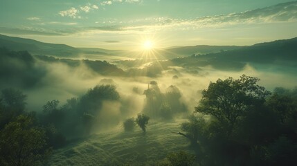 Sunrise brings life to a mist-covered valley, with rays of light breaking through the fog to reveal the verdant landscape. - obrazy, fototapety, plakaty