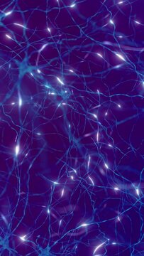 Neuronal firing - neurons communicating via electrical signals and neurotransmitters, vertical video. Camera moving close to human brain nerve cells (neurons). 