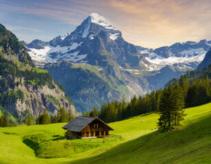 Nature summer mountains and landscape background for green tourism earth and eco friendly environment countryside