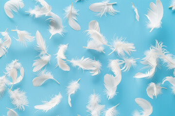 Fototapeta na wymiar soft, white feathers gently floating against a serene blue background, ideal for background imagery in peaceful design themes or as a tranquil wallpaper for relaxation and mindfulness applications