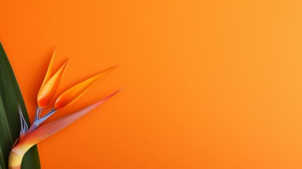 strelitzia Bird of Paradise plant flower on orange  minimal background with copy space right