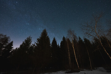 Night mixed forest in winter and starry sky. Nature of Estonia.