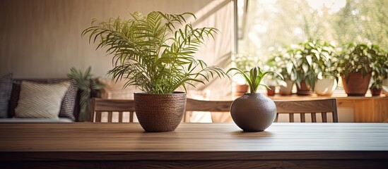 Green Houseplant Oasis: A Variety of Lush Potted Plants Adorn a Wooden Table