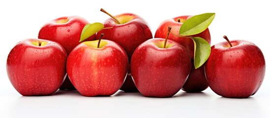 Vibrant Red Apples with Fresh Green Leaves in a Wholesome Orchard Setting