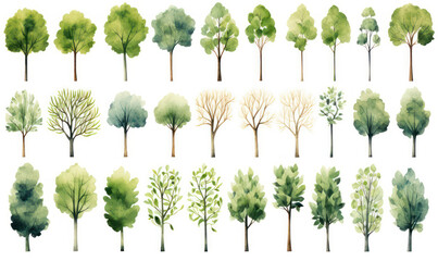 Nature's Symphony: A Serene Summer Forest Season - Leafy Illustration of Green Spring Plant Branches in a Collection of Graphic Silhouette Bushes and Wood Drawings - Eco Garden Style with Oak and