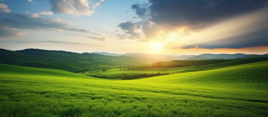 Fototapeta premium Vibrant Green Field Blanketed in Lush Grass with Bright Blue Sky and Fluffy Clouds