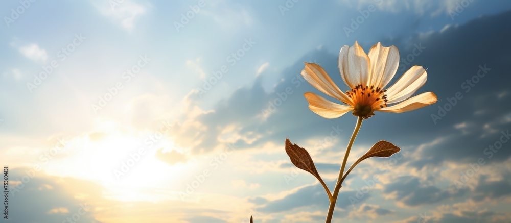 Canvas Prints Vibrant Blossom Standing Proudly in the Center of a Lush Countryside Meadow