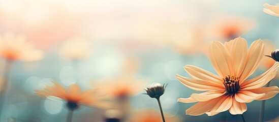 Obraz premium Vibrant Bouquet of Flowers Creating a Colorful Blur Background in Spring Garden