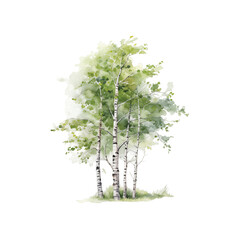 a group of birch tree watercolor isolated on transparent background cutout generative ai - 753604382