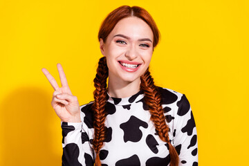Photo of good mood sweet woman wear cow skin top showing v-sign isolated yellow color background