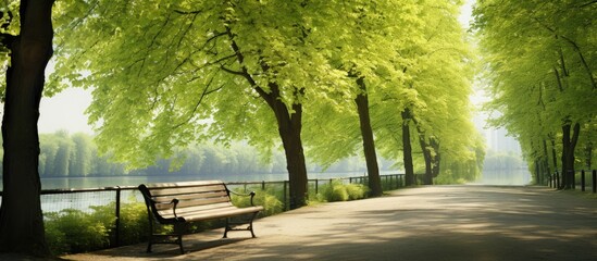 Tranquil Lakeside Bench Offering Serenity on a Peaceful Sidewalk Setting