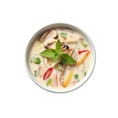 chicken noodle soup