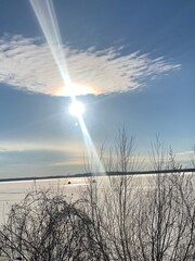 sun shining through frozen lakeside branches