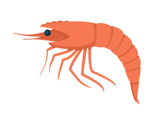 Shrimp icon - for seafood packaging