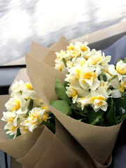 Journey with yellow and white daffodils in Turkey