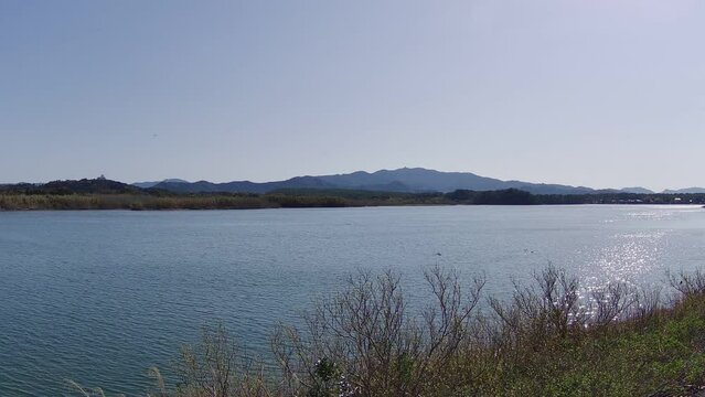 晴れた日の川の水光
