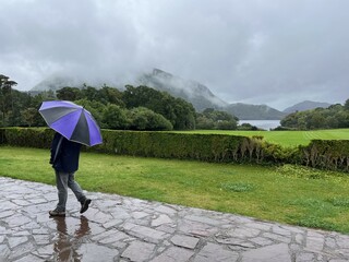 Man with a purple umbrella walks alone on a stone path on a misty and rainy morning in Ireland with...