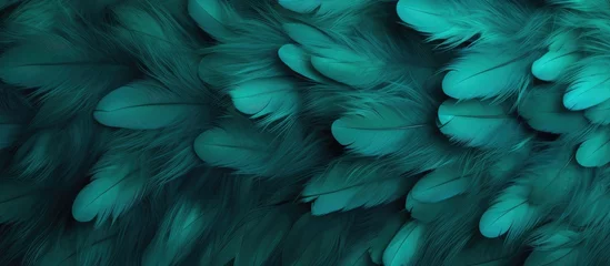 Fotobehang Soft luxurious feather texture in turquoise and emerald green color © LukaszDesign
