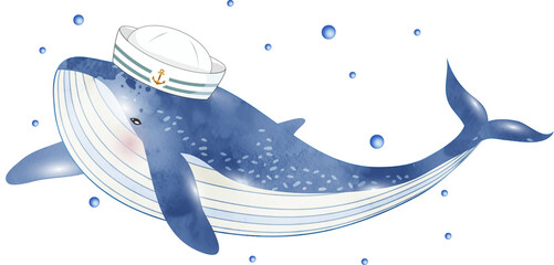 blauer Wal Fisch Zeichnung coloriert mit Seemannsmütze