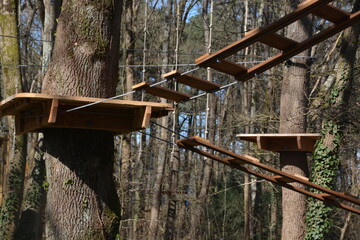 structure d accrobranche