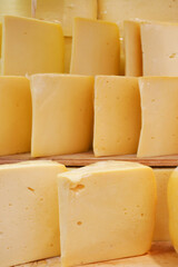 many type of cheeses on shop window