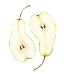 This enchanting illustration portrays two halves of pears arranged in a Yin Yang-inspired composition, showcasing a harmonious balance. Created with a hand-drawn watercolor technique.