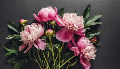 Fototapeta na wymiar beautiful bouquet of pink peonies on a black background vertical flower arrangement in a dark key flat lay moody floral