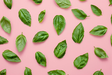 Pattern with basil leaves on pink background.Minimal concept.