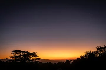 Zelfklevend Fotobehang Tropischer Sonnenaufgang mit Bäumen im Bild © SANDRA SCHMIDT