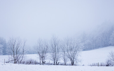 Fototapeta na wymiar Eine neblige Aussicht auf eine verschneite und kalte Landschaft